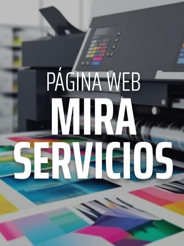 desarrollo de páginas web en Castellón