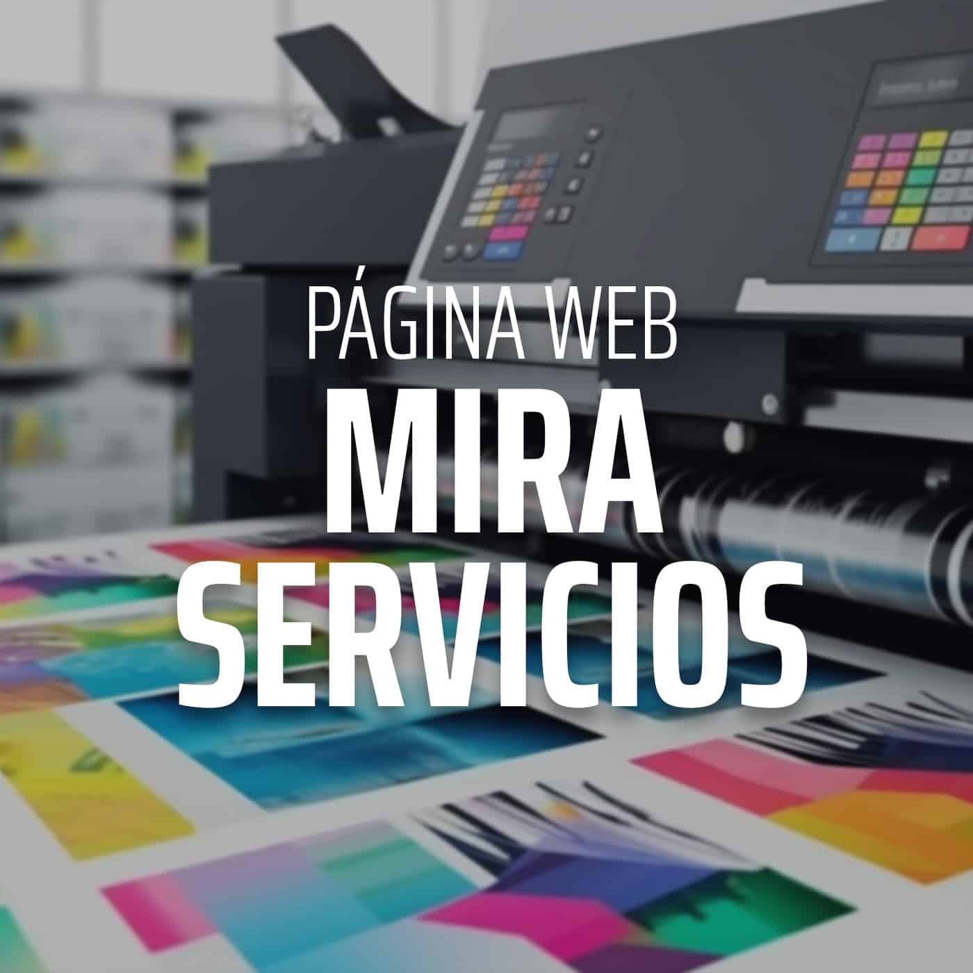 desarrollo de páginas web en Castellón